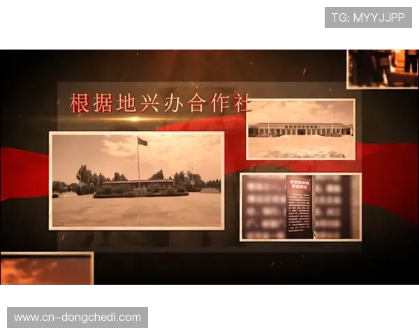 阳光经济视角下球队搬迁对地方经济的影响与互动分析